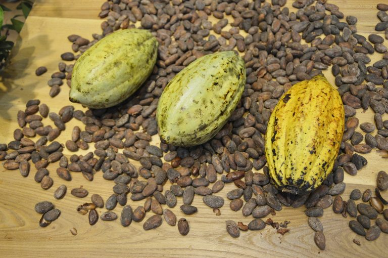 cocoa-beans-373813_1920